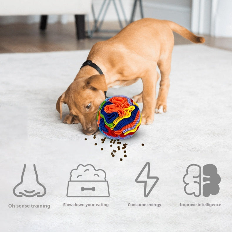 Pet Sniffing Toy Ball Molars Colorful Ball - front view - PET'S FUN | dog toy