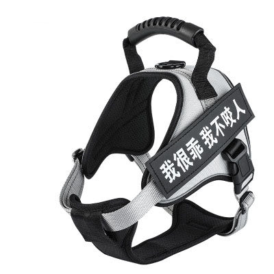 Pet Harness Adjustable Walking Vest for Dogs Cats