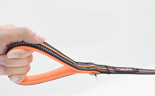 Dog Leash Nylon Leash Assisted Retractable - side view - PET'S FUN | dog supplies