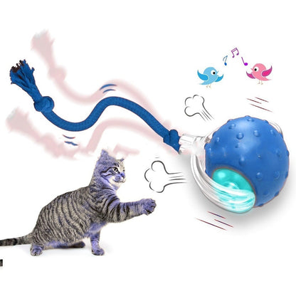 Interactive Cat Toy Ball Super Drive Cat Rolling Ball - packaging view - PET'S FUN | interactive cat toy