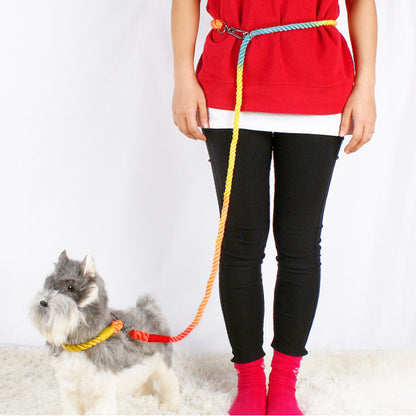 Multifunctional Braided Double-ended Dog - front view - PET'S FUN | dog toy