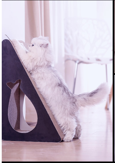 Grinding claws corrugated paper cat climbing board vertical