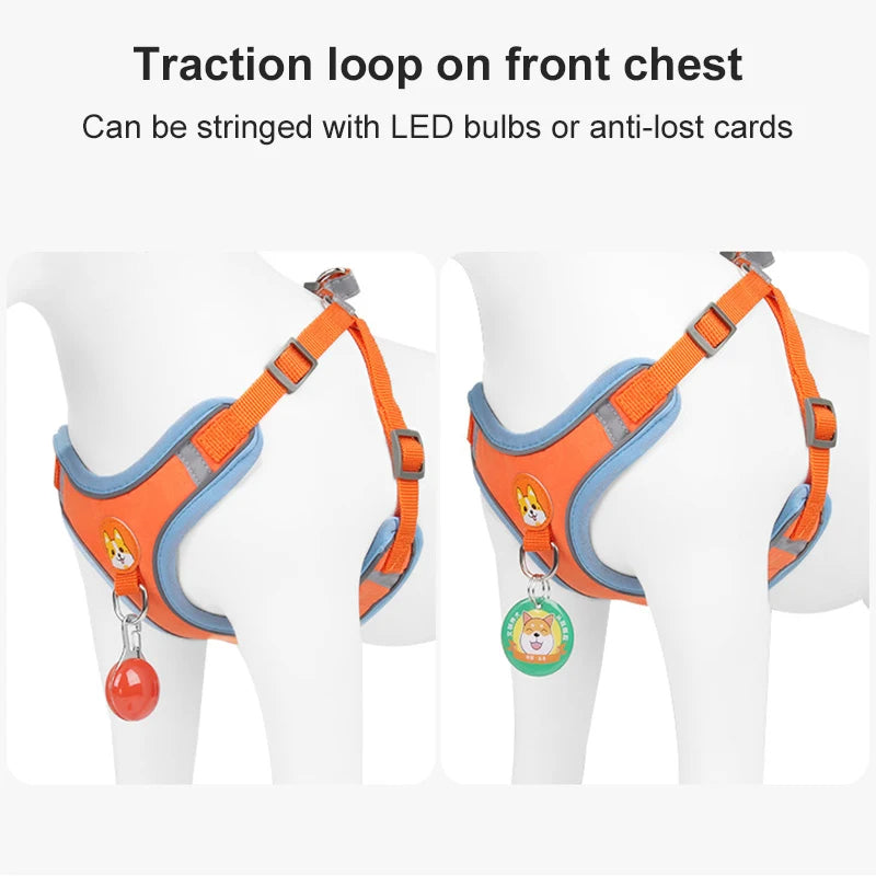 New Dog Leash And Harness Set Pet Dog Harness And - back view - PET'S FUN | pet play