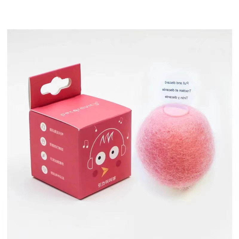 Gravity Called the Ball Mint Kitten Self-hey - front view - PET'S FUN | interactive cat toy