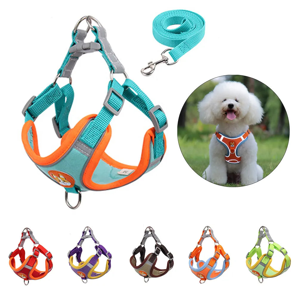 New Dog Leash And Harness Set Pet Dog Harness And - front view - PET'S FUN | pet bed