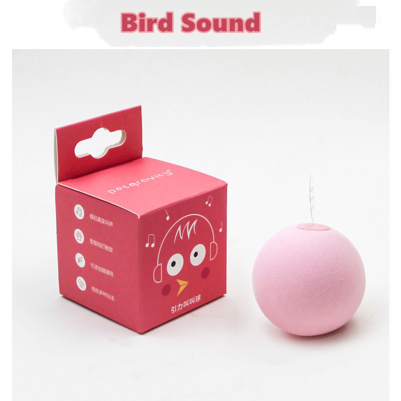 Gravity Called the Ball Mint Kitten Self-hey - back view - PET'S FUN | cat entertainment