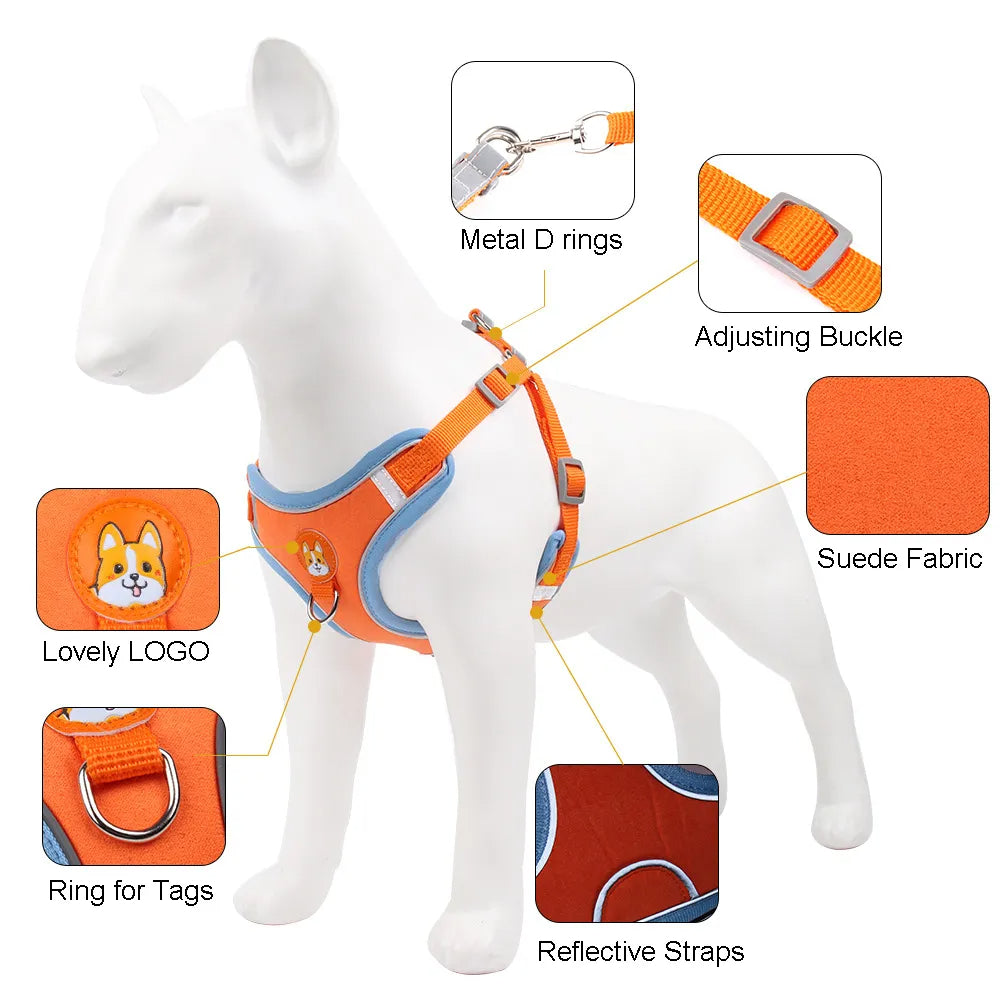 New Dog Leash And Harness Set Pet Dog Harness And - side view - PET'S FUN | cozy pet bed