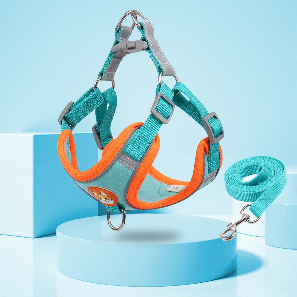New Dog Leash And Harness Set Pet Dog Harness And - showcase view - PET'S FUN | pet toy