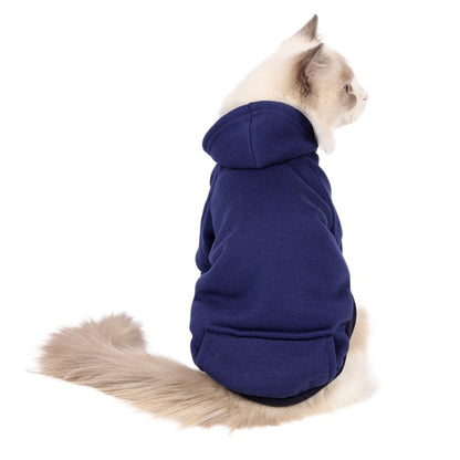Small and Medium Sized Dogs Wearing Caps and - angle view - PET'S FUN | dog entertainment