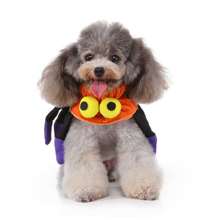 Pet christmas hat bib - lifestyle view - PET'S FUN | interactive pet toy