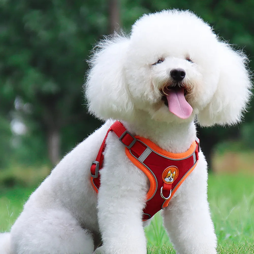 New Dog Leash And Harness Set Pet Dog Harness And - side view - PET'S FUN | pet supplies