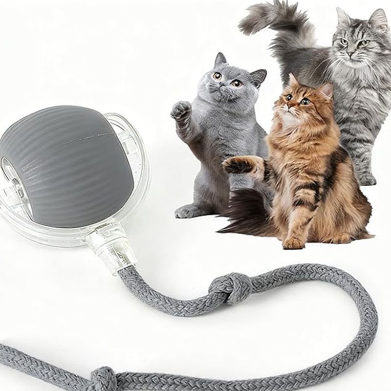 Cat Interactive Ball Toys Automatic Rolling Ball for - in use view - PET'S FUN | cat toy