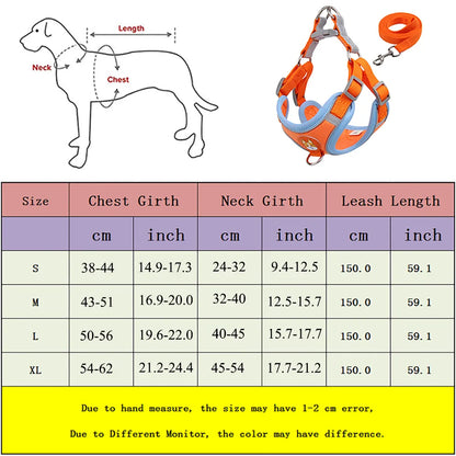 New Dog Leash And Harness Set Pet Dog Harness And - detail view - PET'S FUN | durable pet supplies