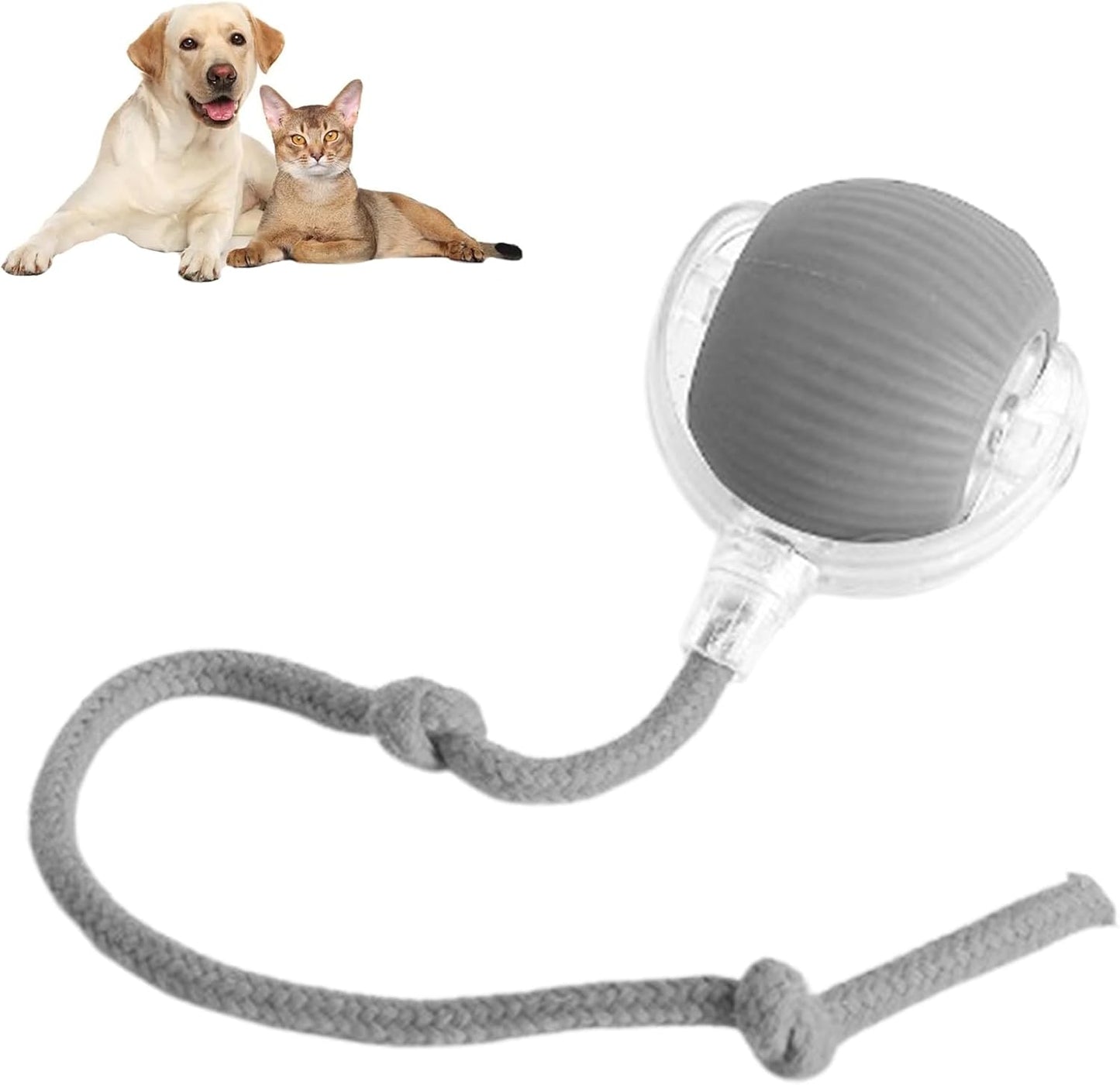 Rolling Ball for Dogs Doggie Ball Interactive Dog - lifestyle view - PET'S FUN | dog bed