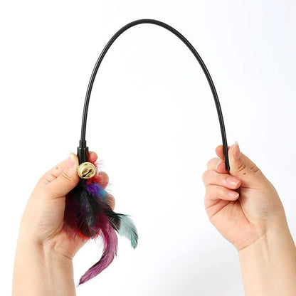 Rainbow Color Feather Toys Funny Cat Stick Plush - front view - PET'S FUN | cat bed