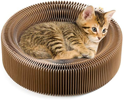 Collapsible Cat Scratcher Lounge Bed Cardboard Cat Bed - lifestyle view - PET'S FUN | cat toy