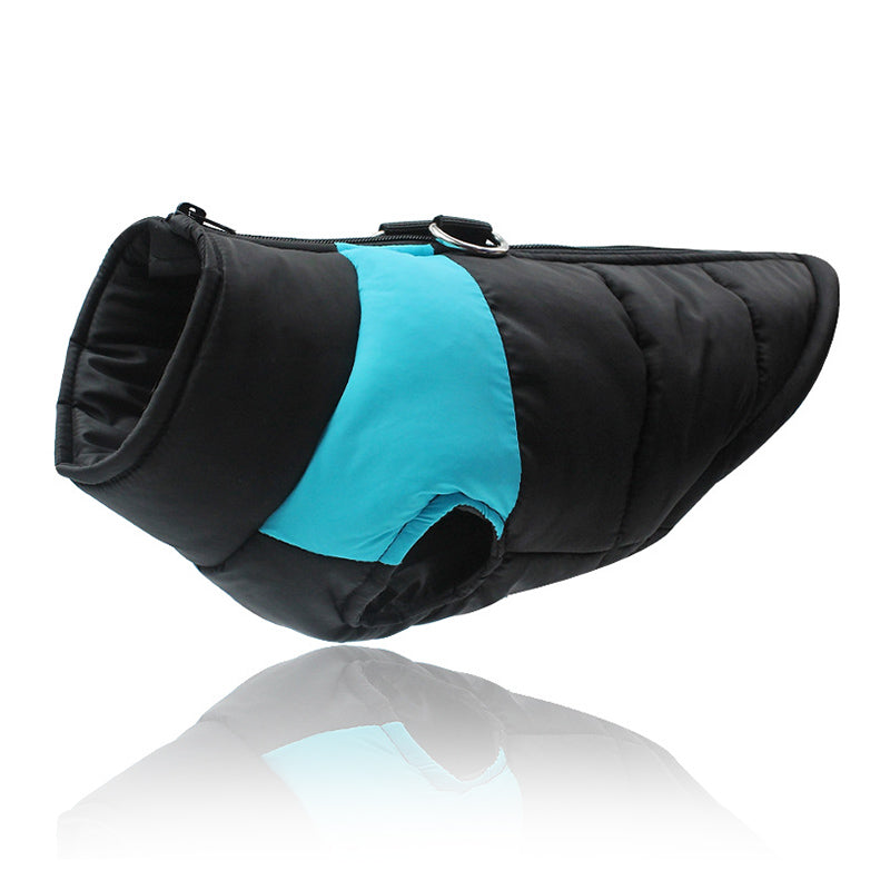 Teddy Fight Pet Dog Cotton Clothes - angle view - PET'S FUN | dog entertainment