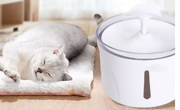 Pet Water Dispenser Intelligent Automatic Circulating - back view - PET'S FUN | pet accessories