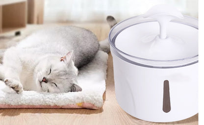 Pet Water Dispenser Intelligent Automatic Circulating - back view - PET'S FUN | pet accessories