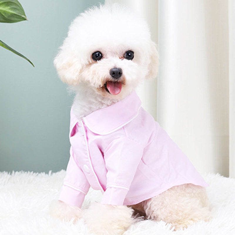 French Small Incense Style Fighting Pet - detail view - PET'S FUN | interactive dog toy
