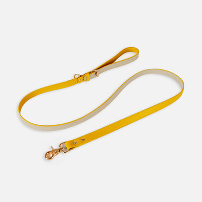 Small and Medium Dog Pet Cat Vest Type Leash - detail view - PET'S FUN | cat supplies