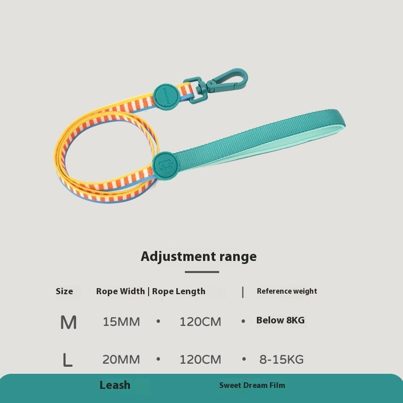 Retro Record Hand Holding Rope Small and - back view - PET'S FUN | interactive dog toy