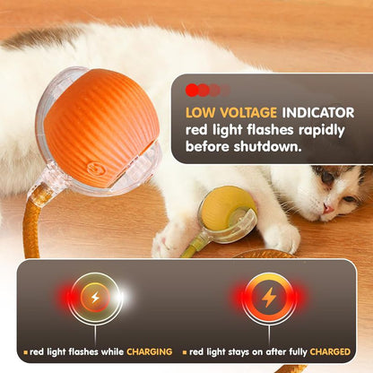 Cat Interactive Ball Toys Automatic Rolling Ball for - front view - PET'S FUN | cat bed