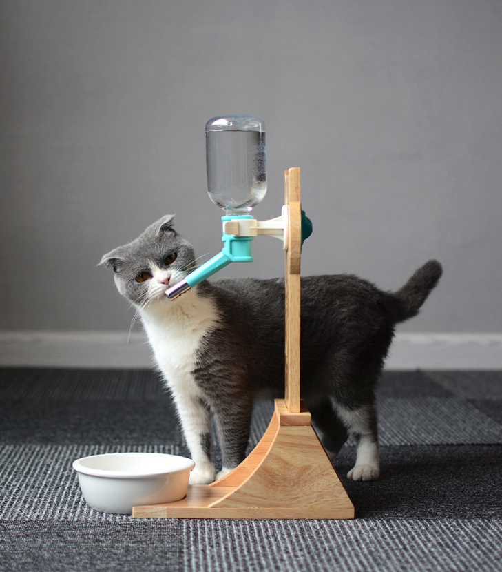 Cat Drinking Water Dispenser Drinking Fountains Cat Drinking