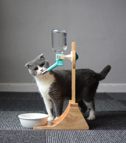 Cat Drinking Water Dispenser Drinking Fountains Cat Drinking