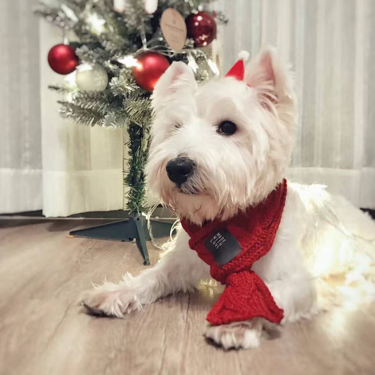 Pet scarf - front view - PET'S FUN | pet toy