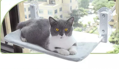 Cat Suction Cup Window Glass Hammock Pet Cat Pets - detail view - PET'S FUN | cat bed