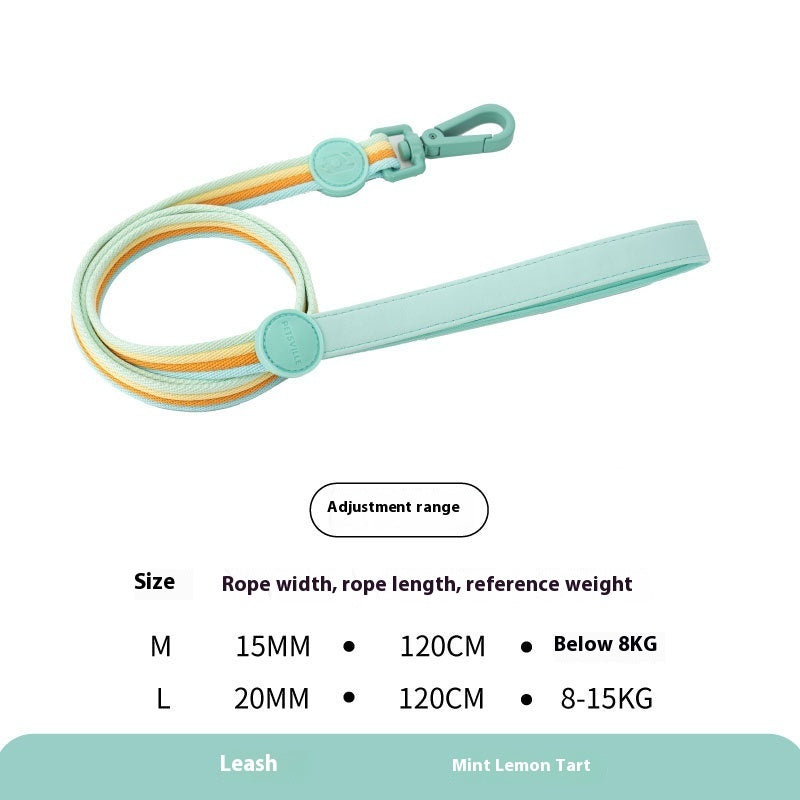 Retro Record Hand Holding Rope Small and - front view - PET'S FUN | interactive dog toy