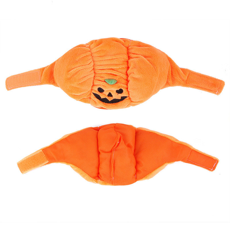 Pet Hat Halloween Funny Pumpkin Hat Cute Pet Animal - detail view - PET'S FUN | pet entertainment