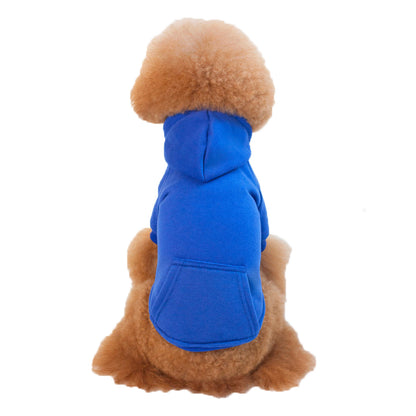 Small and Medium Sized Dogs Wearing Caps and - front view - PET'S FUN | dog play