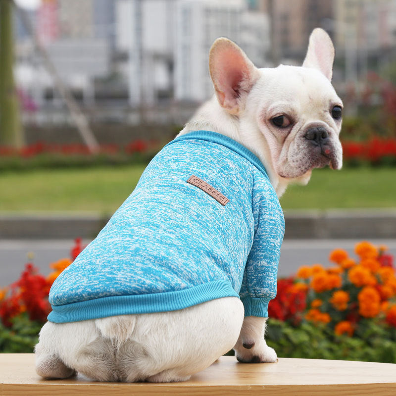 Fall Winter Sweater Two-legged Clothes Dog - back view - PET'S FUN | interactive dog toy