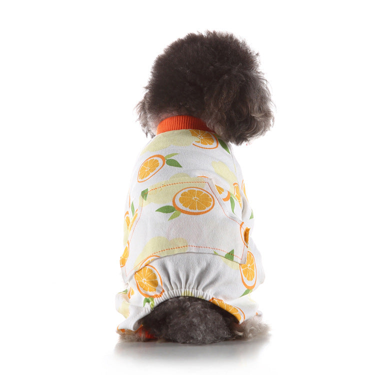 Pet Clothes Autumn and Winter at Home - detail view - PET'S FUN | pet entertainment