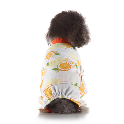 Pet Clothes Autumn and Winter at Home - detail view - PET'S FUN | pet entertainment