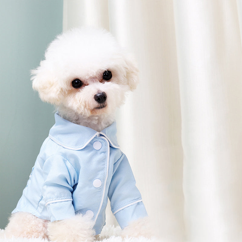 French Small Incense Style Fighting Pet - angle view - PET'S FUN | dog entertainment