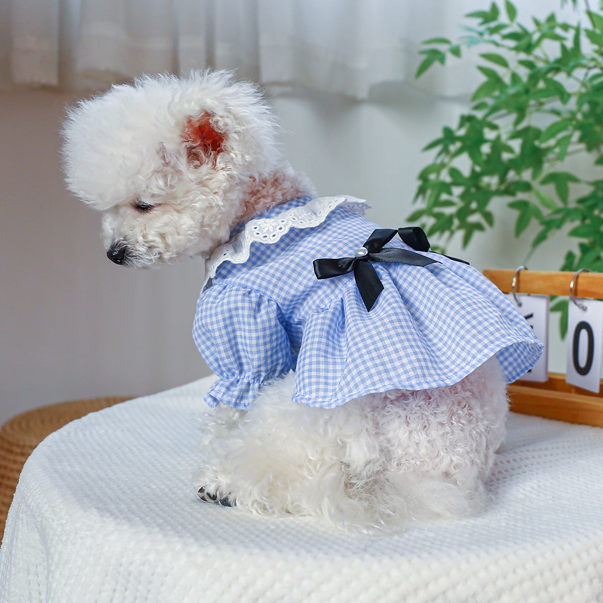 Pet Ring Dog Clothing Cat Clothes Bow Lace Collar Edge - side view - PET'S FUN | cozy pet bed