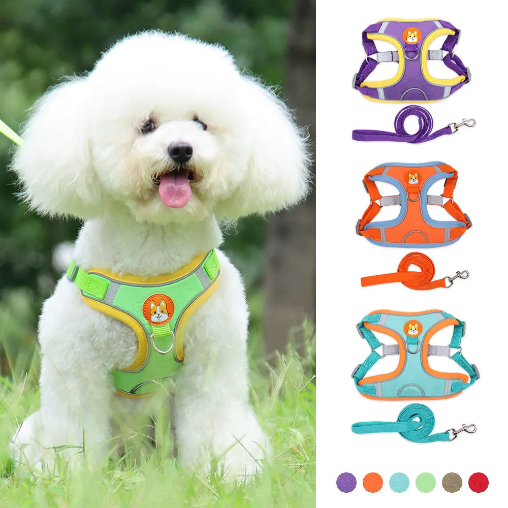 New Dog Leash And Harness Set Pet Dog Harness And - front view - PET'S FUN | pet toy
