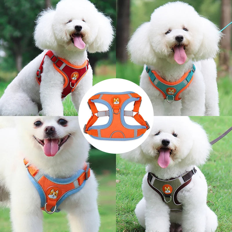 New Dog Leash And Harness Set Pet Dog Harness And - lifestyle view - PET'S FUN | interactive pet toy