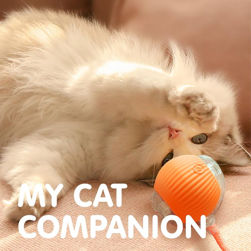 Cat Interactive Ball Toys Automatic Rolling Ball for - detail view - PET'S FUN | cat accessories