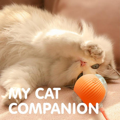 Cat Interactive Ball Toys Automatic Rolling Ball for - detail view - PET'S FUN | cat accessories