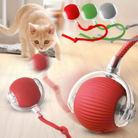 Cat Interactive Ball Toys Automatic Rolling Ball for - front view - PET'S FUN | cat toy
