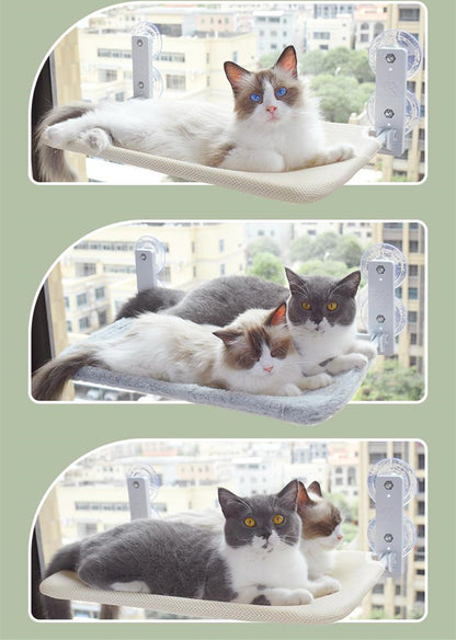 Cat Suction Cup Window Glass Hammock Pet Cat Pets - back view - PET'S FUN | cat accessories