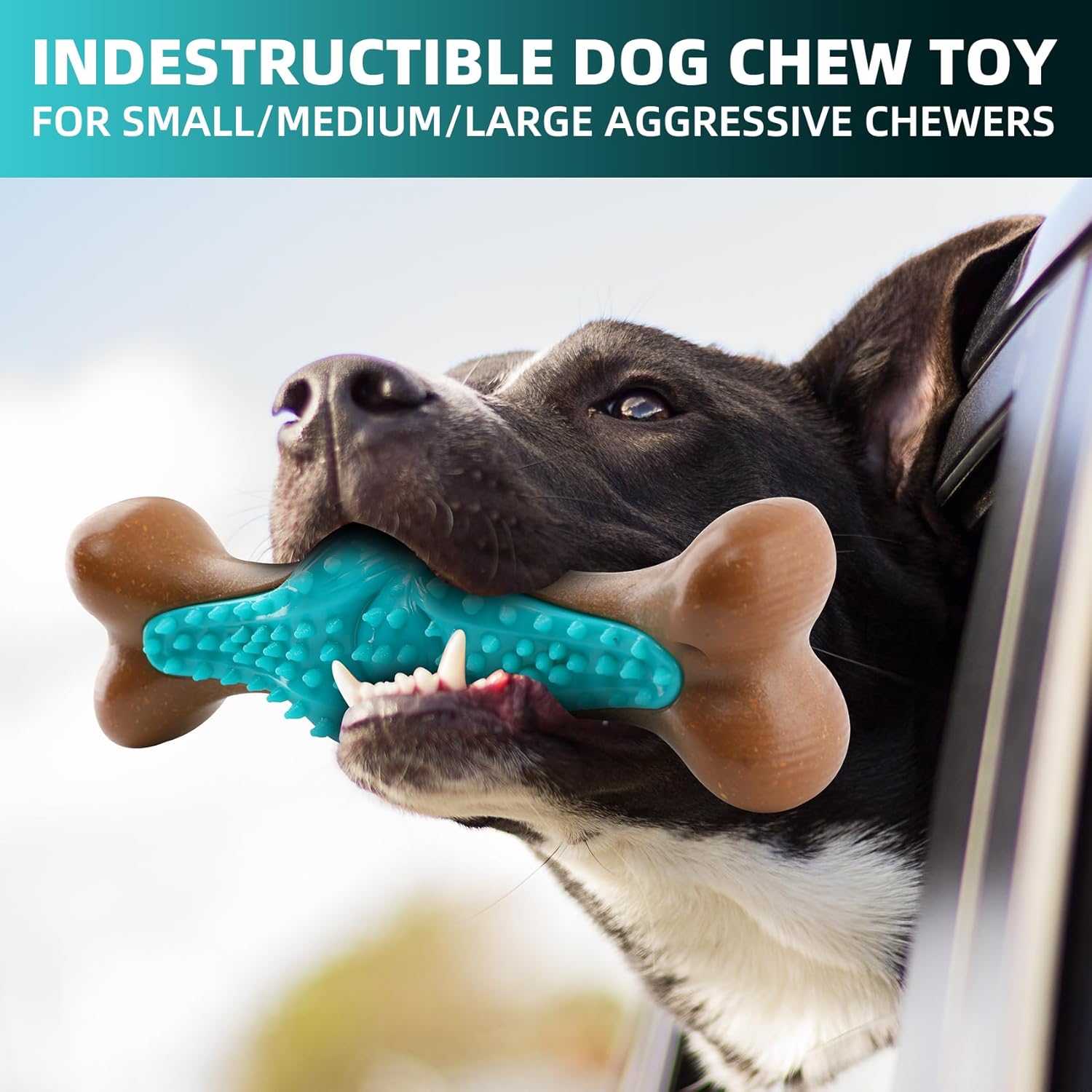 Dog Chew Toy for Large Dogs Rubber Bone Dog Toys for - front view - PET'S FUN | dog bed