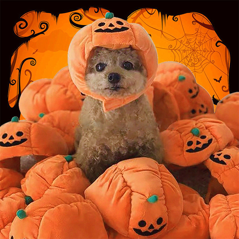 Pet Hat Halloween Funny Pumpkin Hat Cute Pet Animal - lifestyle view - PET'S FUN | cozy pet bed
