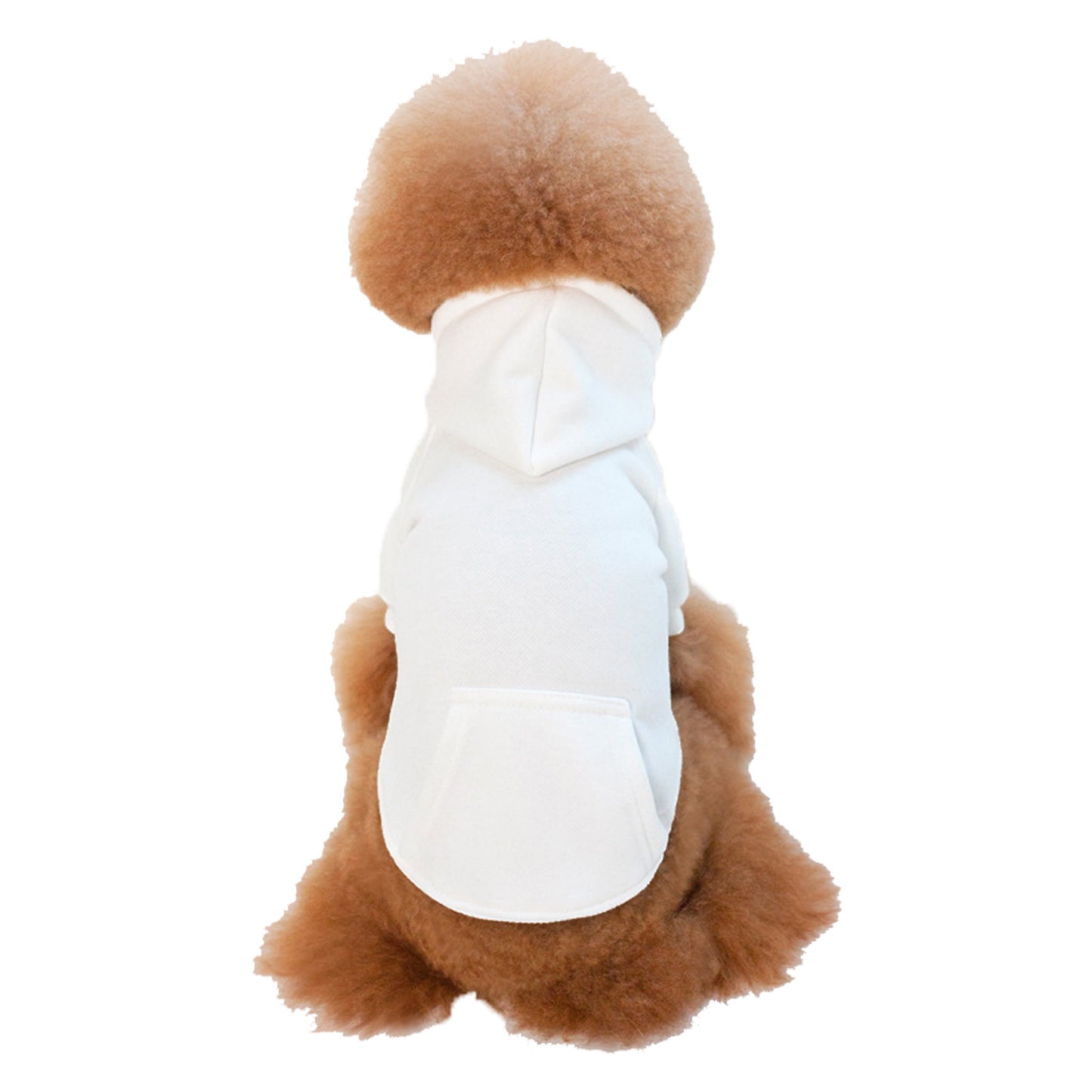 Small and Medium Sized Dogs Wearing Caps and - side view - PET'S FUN | dog toy