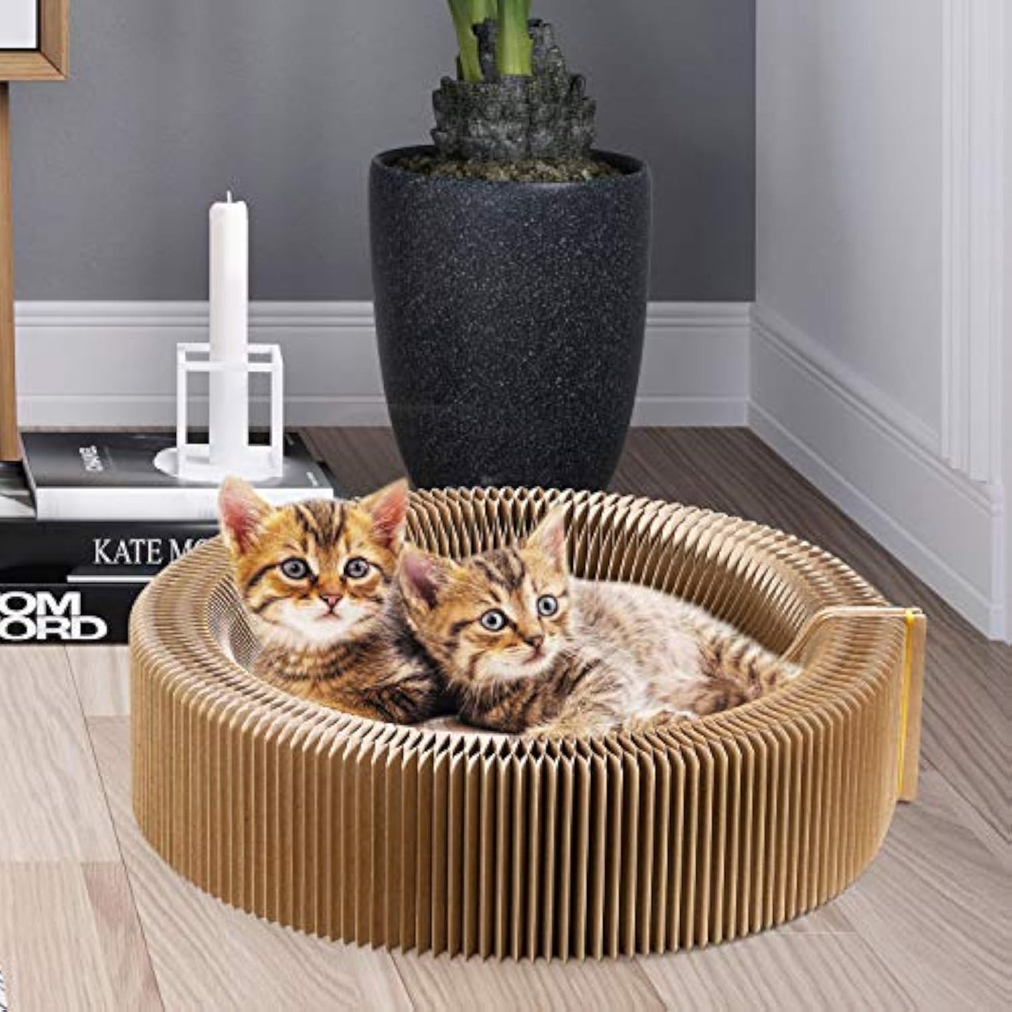 Collapsible Cat Scratcher Lounge Bed Cardboard Cat Bed - front view - PET'S FUN | cat toy