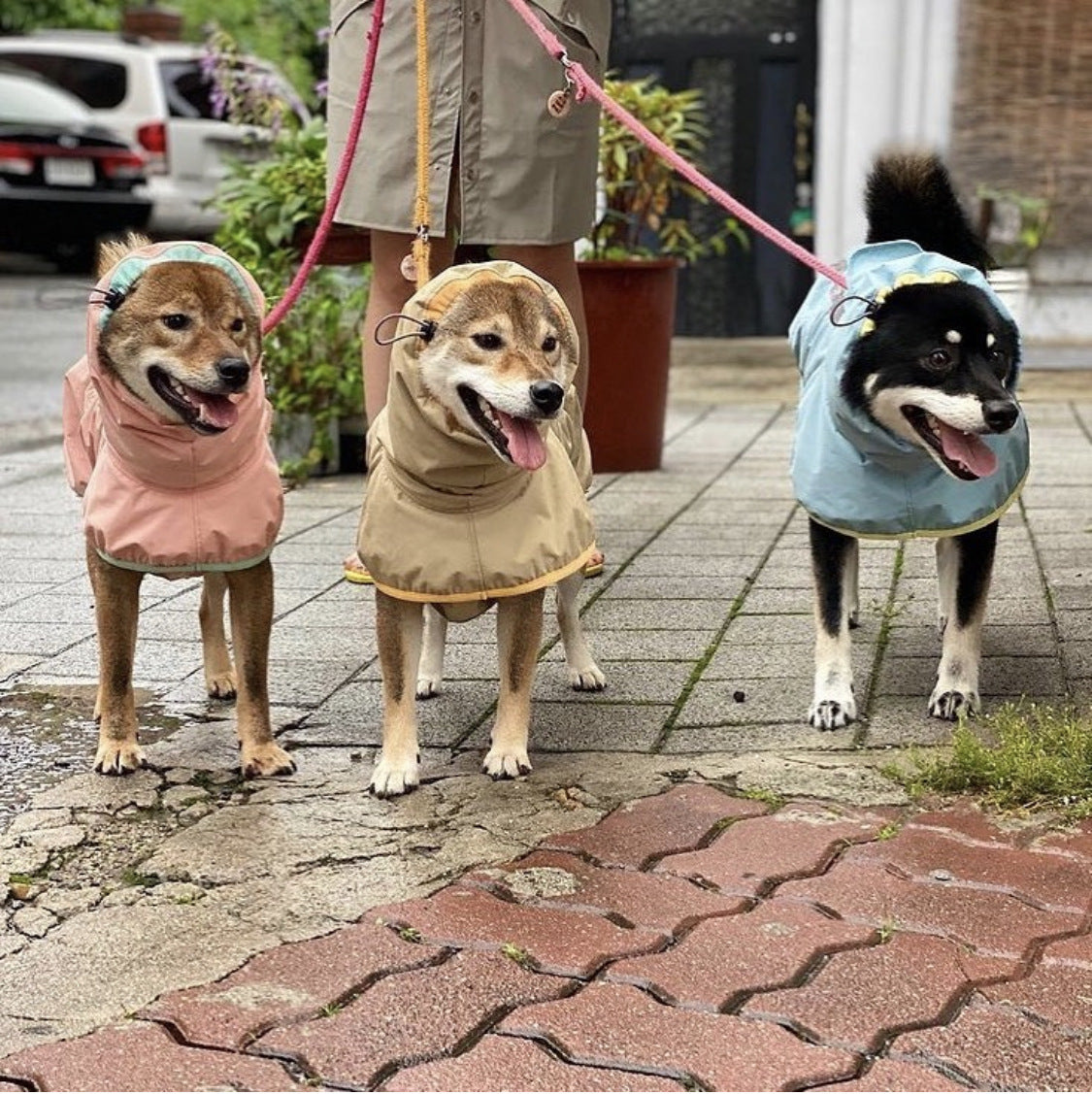 Dog Raincoats for Large Do Not Affect - front view - PET'S FUN | dog toy